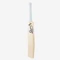 Kookaburra Ghost Phoebe Litchfield English Willow Bat (Standard Size Short Handle)