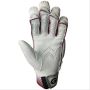 GM 909 Cricket Batting Gloves