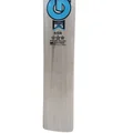 GM Diamond 606 English Willow Cricket Bat (Standard Size Short Handle)