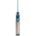 GM Diamond 606 English Willow Cricket Bat (Standard Size Short Handle)