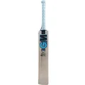 GM Diamond 606 English Willow Cricket Bat (Standard Size Short Handle)