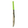 GM Argon Bullet English Willow Cricket Bat