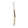 GM Cricket Bat English Icon DXM 404 Standard Size