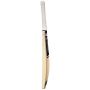GM Icon DXM English Willow Cricket Bat Standard Size