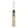 GM Icon DXM English Willow Cricket Bat Standard Size