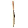 GM EPIC FORCE English Willow Cricket Bat Standard Size