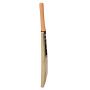 GM EPIC DYNAMITE English Willow Cricket Bat Standard Size