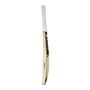 GM Cricket Bat English Icon DXM Original L.E Standard Size