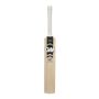 GM Cricket Bat English Icon DXM Original L.E Standard Size
