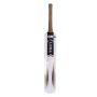 GM Cricket Bat English Luna Bullet Standard Size