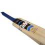 GM Octane F2 404 English Willow Cricket Bat Standard Size