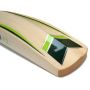 GM Argon F2 303 English Willow Cricket Bat Standard Size