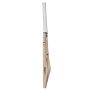 GM Zona F2 909 English Willow Cricket Bat Standard Size