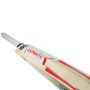 GM Zona F2 303 English Willow Cricket Bat Standard Size