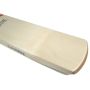 GM Zona F2 303 English Willow Cricket Bat Standard Size