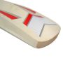 GM Zona F2 303 English Willow Cricket Bat Standard Size