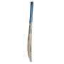 GM Aura Octane F2 Cricket Bat Standard Size