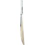 GM Argon F2  Cricket Bat Standard Size