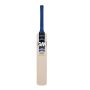 GM Octane F2 909 English Willow Cricket Bat Standard Size