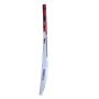 GM Purist F2 Bullet English Willow Cricket Bat Standard Size