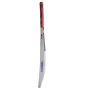 GM Purist F2 303 English Willow Cricket Bat Standard Size