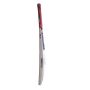 GM Purist F2 909 English Willow Cricket Bat Standard Size