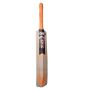 GM Epic Maestro English Willow Cricket Bat Standard Size