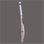 GM Six6 Aura English Willow Cricket Bat