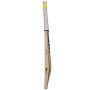 GM Aura 808 English Willow Cricket Bat