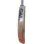 GM MOGUL F2 Classic Plus English Willow Cricket Bat