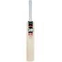 GM Octane Super Star Kashmir Willow Cricket Bat
