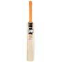 GM Octane Premier Kashmir Willow Cricket Bat