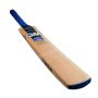 GM Octane Contender Kashmir Willow Cricket Bat