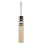 GM Icon 101 Kashmir Willow Cricket Bat