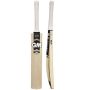 GM Icon Super Star Kashmir Willow Cricket Bat