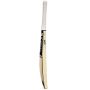 GM Icon Super Star Kashmir Willow Cricket Bat