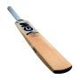 GM Icon Premier Kashmir Willow Cricket Bat