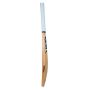 GM Icon F2 Maestro Kashmir Willow Cricket Bat