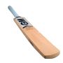 GM Icon F2 Maestro Kashmir Willow Cricket Bat