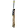 GM MOGUL Aura English Willow Cricket Bat