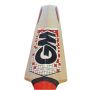 GM SIGMA 909 English Willow Cricket Bat