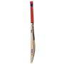 GM Purist F2 Original Limited Edition (L.E) English Willow Bat
