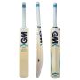 GM Six6 Cosmic English Willow Cricket Bat