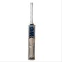 GM Neon 404 English Willow Cricket Bat