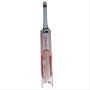 GM Zona F2 Dynamite English Willow Cricket Bat