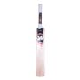 GM Flare Striker Kashmir Willow Cricket Bat Standard Size