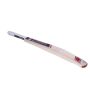 GM flare 101 Kashmir Willow Cricket Bat Standard Size