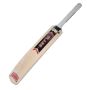 GM Flare Contender kashmir Willow Cricket Bat Standard Size
