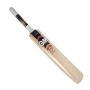 GM Flare Contender kashmir Willow Cricket Bat Standard Size