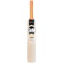 GM Epic Striker Kashmir Willow Cricket Bat Standard Size